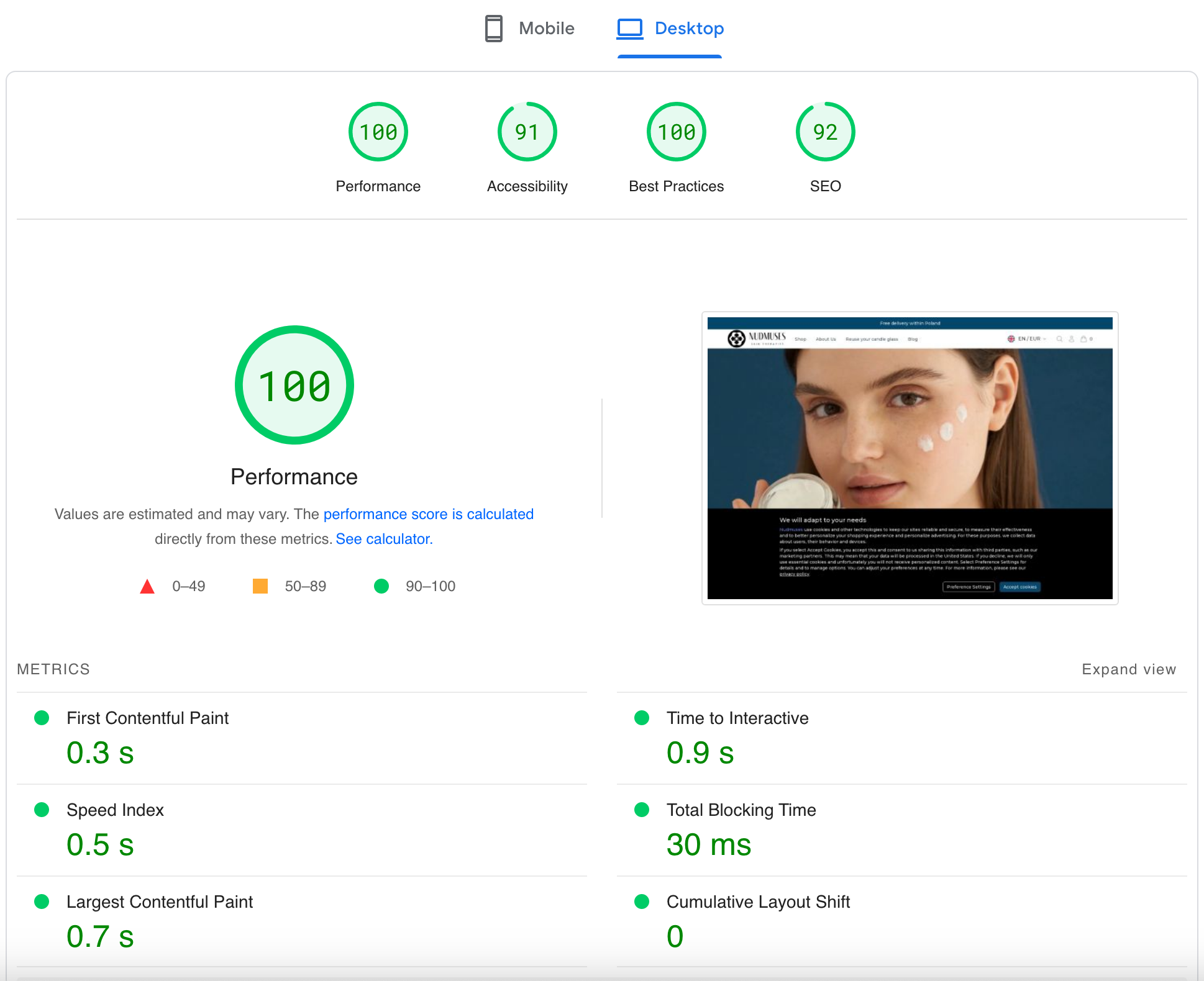 Google PageSpeed Insights dla naszego sklepu
